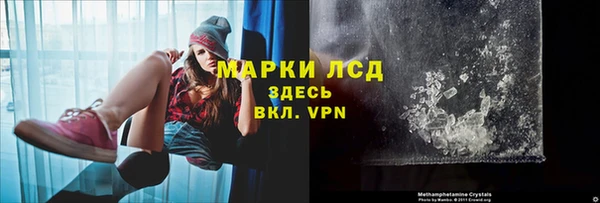 СК Гусев