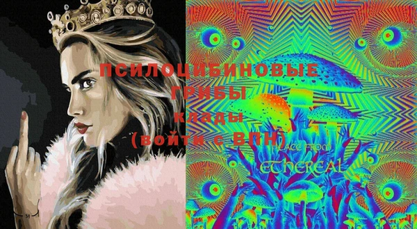 крисы Гусиноозёрск