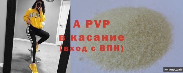 СК Гусев