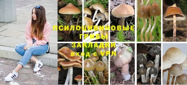СК Гусев