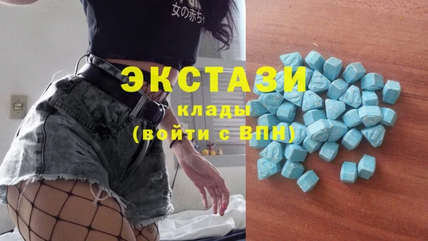 СК Гусев