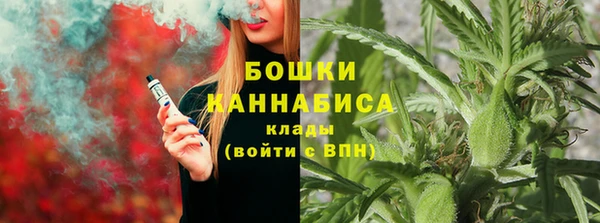 не бодяженный Гусь-Хрустальный
